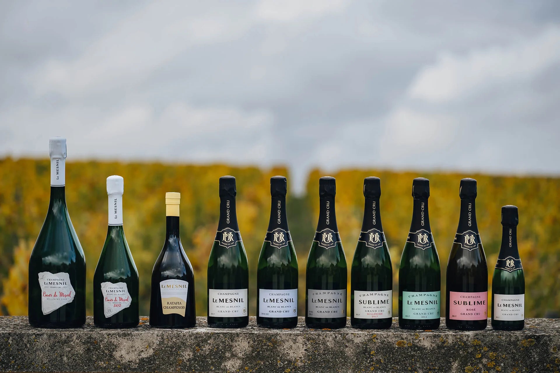 Champagne Le Mesnil - Launch Dinner